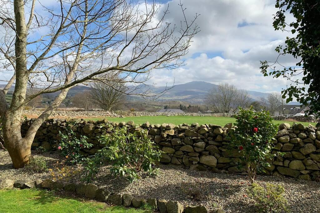 Snowdonia Cabin Карнарвон Екстер'єр фото