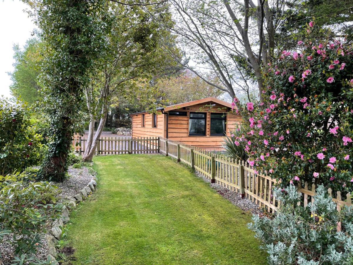 Snowdonia Cabin Карнарвон Екстер'єр фото
