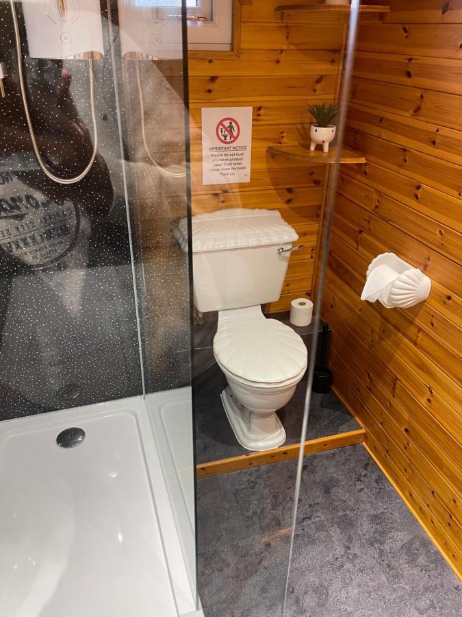 Snowdonia Cabin Карнарвон Екстер'єр фото